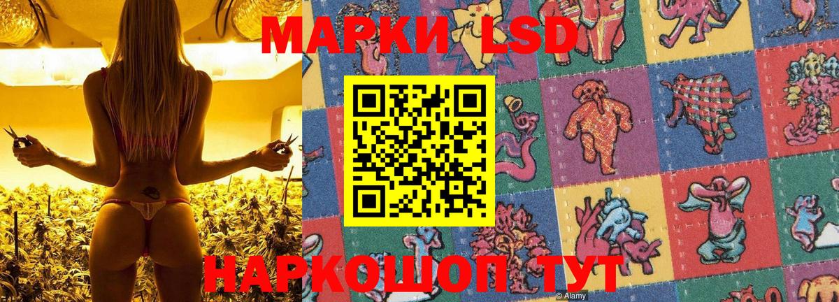 Марки NBOMe 1,5мг Александров